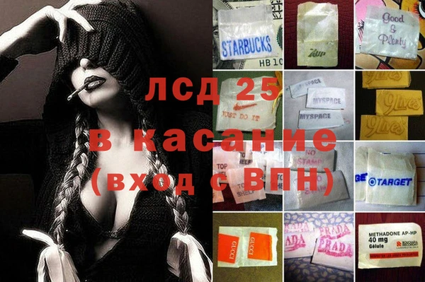 тгк Новодвинск