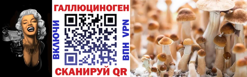 Псилоцибиновые грибы Psilocybine cubensis Приволжск