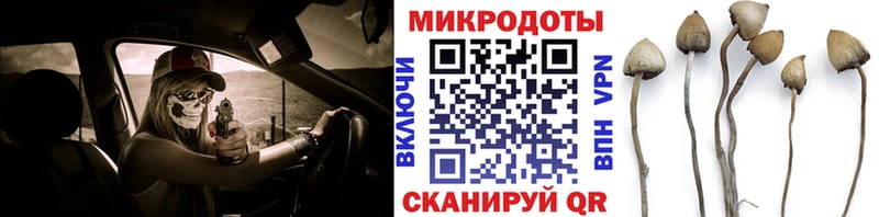 Псилоцибиновые грибы Magic Shrooms  Приволжск 